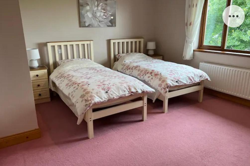 Country Hideaway Apartment Croagh ภายนอก รูปภาพ