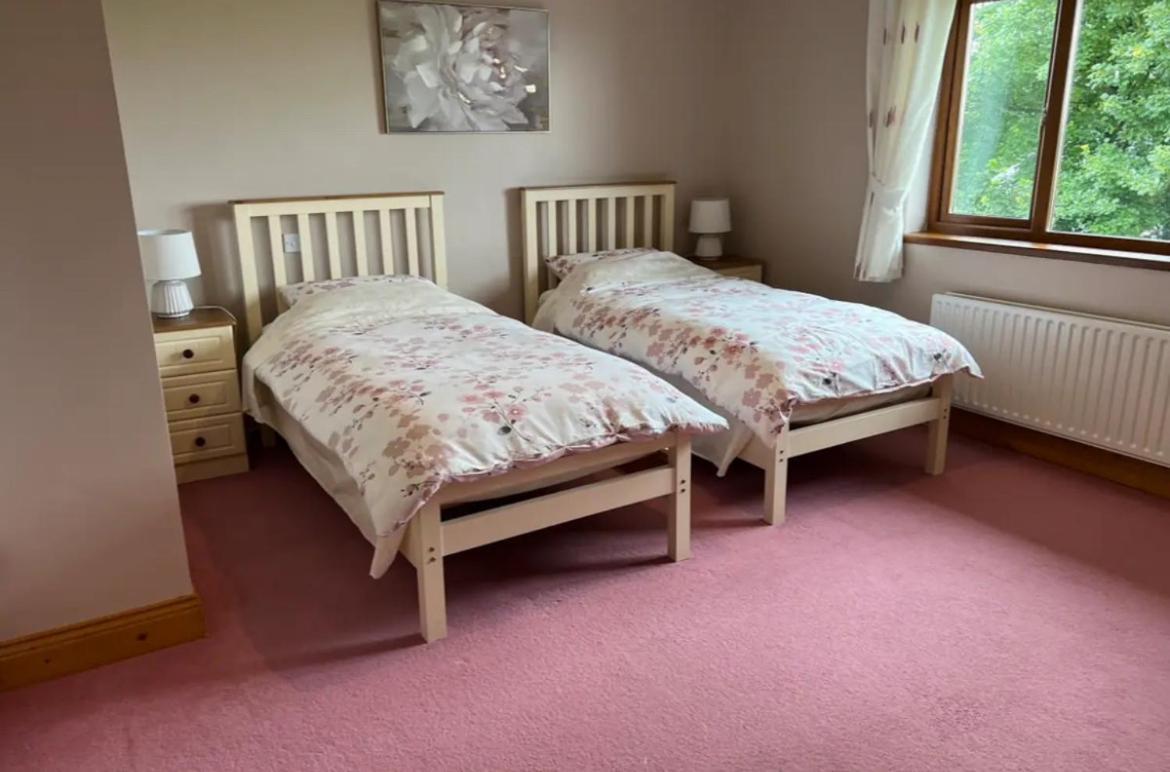 Country Hideaway Apartment Croagh ภายนอก รูปภาพ